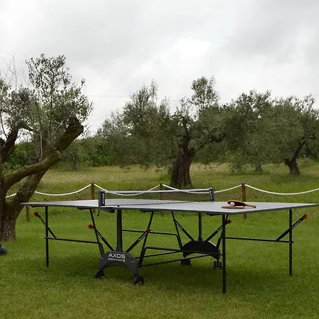 La Collina Di Montecchio Capodimonte